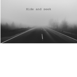 Hide and Seek