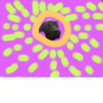 Donut dog fans