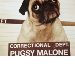 Epic Pug Group
