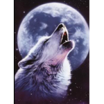 ~+midnight sundown+~