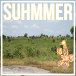 Suhmmer's Group