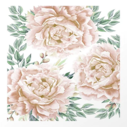 blush pink roses Roblox decal