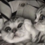 •寂しい•