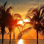 Calm Paradise