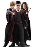 ~-*Harry potter fan group*-~