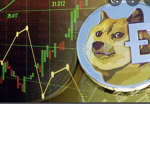 Doge soldiers Studios