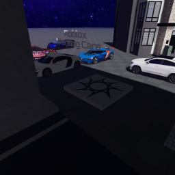 car game