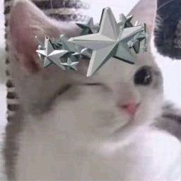 ୨୧