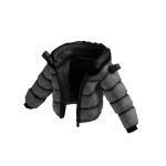 R4V5 GRISS 04