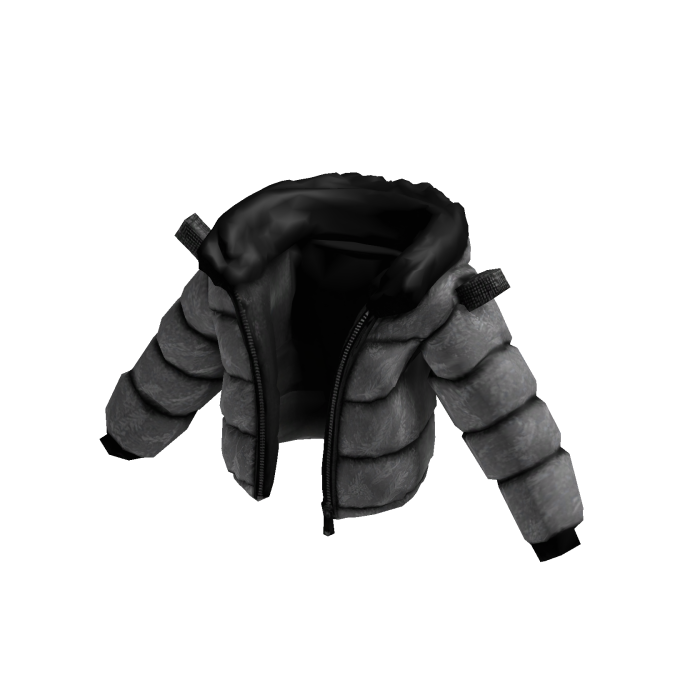 R4V5 GRISS 04