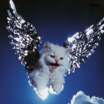 Ride Evo [ Map Development ]