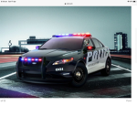 Police group ####