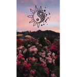 [| Rosemary Society |]