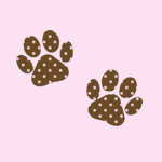 pawcify