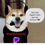 Dogi's community