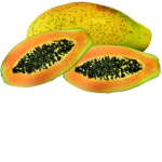 Papaya Fan Club