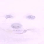 imitationcrabEaters Group Thumbnail