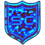 S.W.A.T [ARMY]
