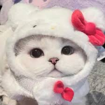 Cinnamoroll Fangroup