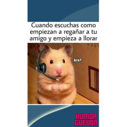 Pruebas