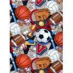 Sports Of Fame!