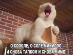 /The Cats\
