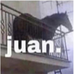 los panas xddd