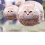 This my server