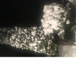 snowy de snow