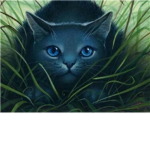 The Warrior Cats of StarClan