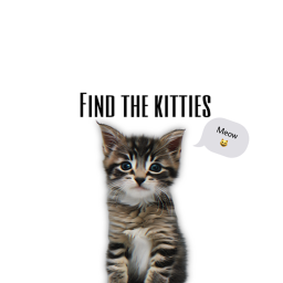 Find the cats!!!