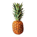 pineappel so good