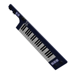 KEYTAR: 24