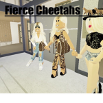 !! Fierce Cheetahs !!