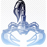Silver Scorpion