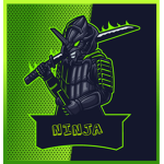 Ninja ekipi