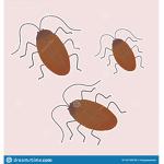 *- offical roach family! <3-*