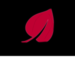RedLeafYT