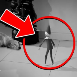 Jump Into The Elf