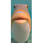 TheMangoIsFake