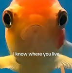 The fish watchers