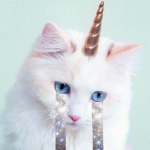 MEOWDOLLIES