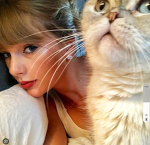 The Swiftie Group! <3