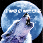 M!dn!ght $tud!o