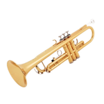 society of elbows