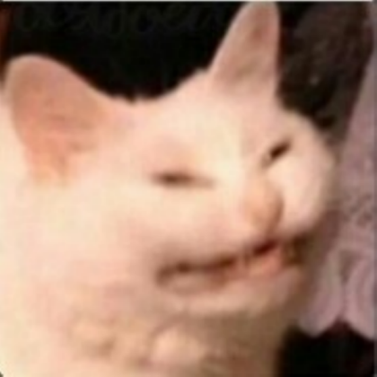 Cat Roblox decal