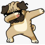 DogNation638
