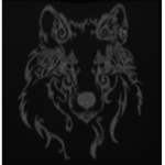 xUbiystvoWolf Fan Club