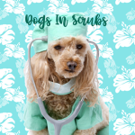 Dogs In Scrubs