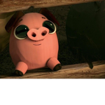 chewy beh